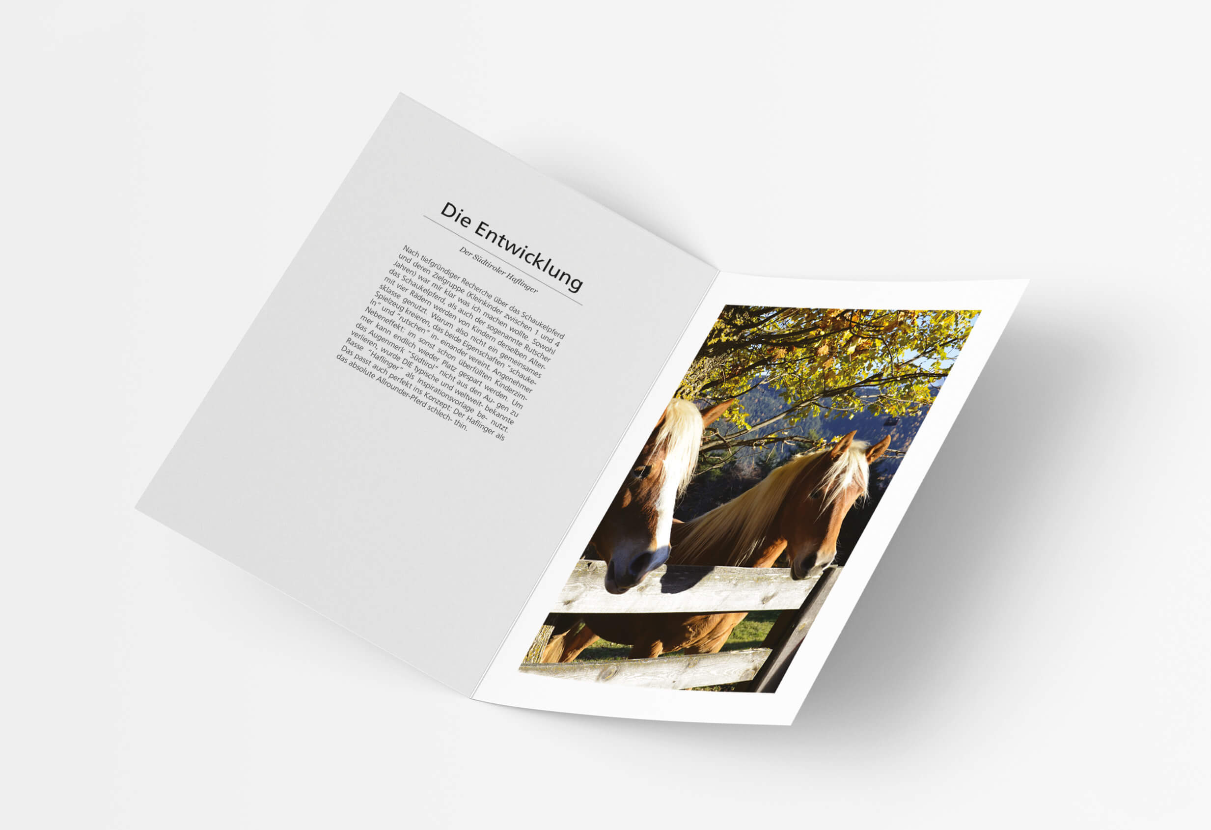 julika_flyer_2_silke